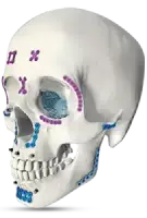 CMF front image