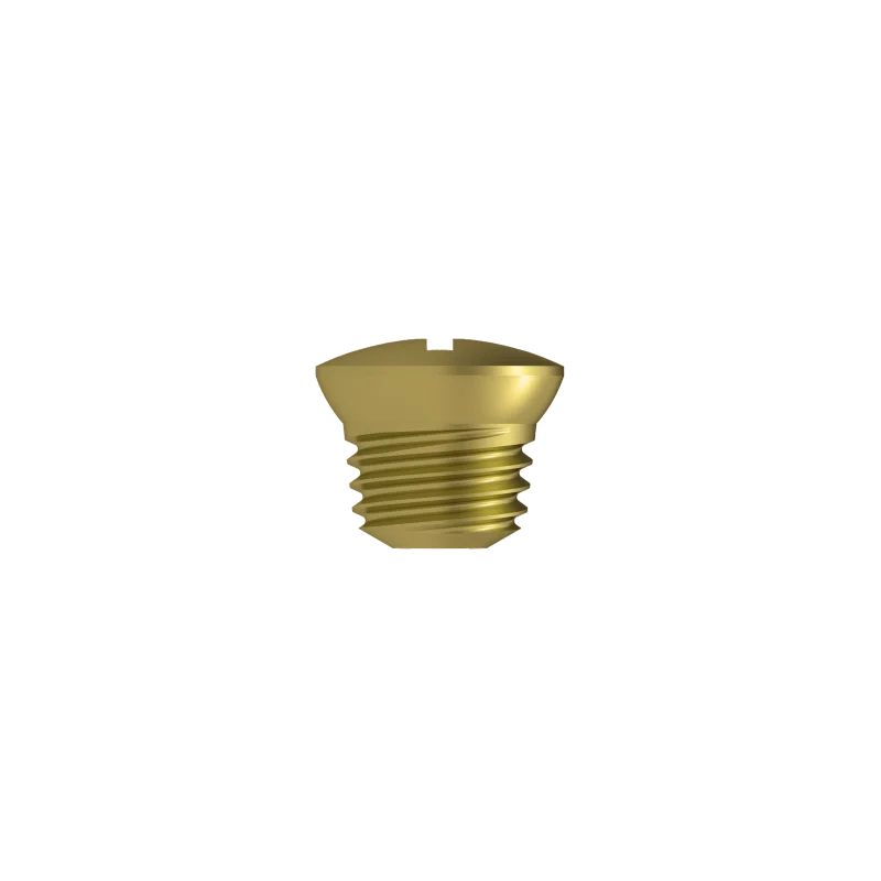 Fastening Cap - Titanium