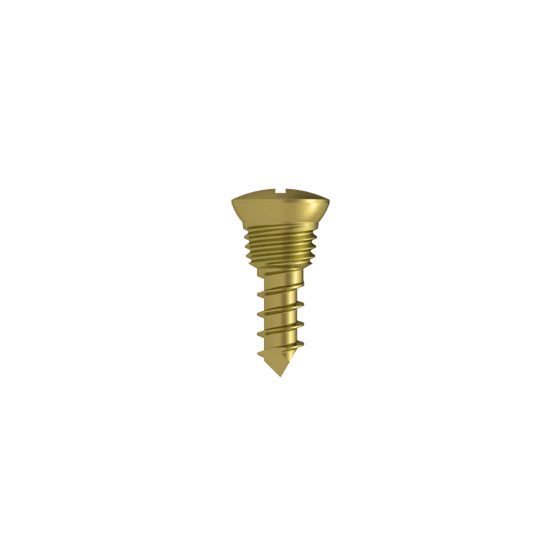 Fastening Screw Dia. 2.5mm