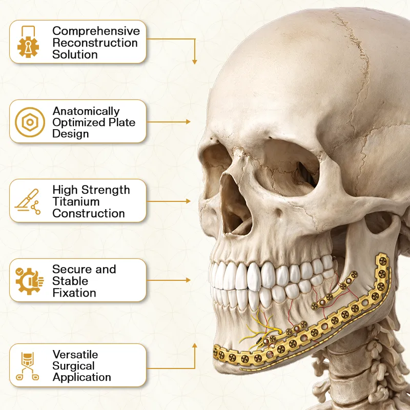 Key Features of 2.4mm Total Mouth Jaw Repair System