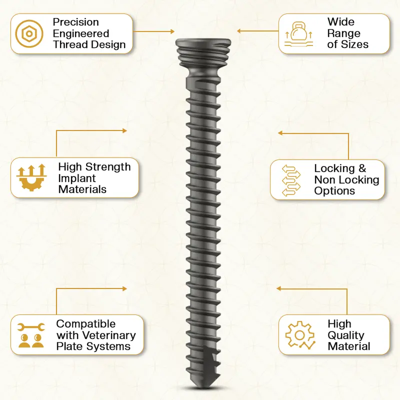 Key Features of Locking and Non-Locking Veterinary Screws
