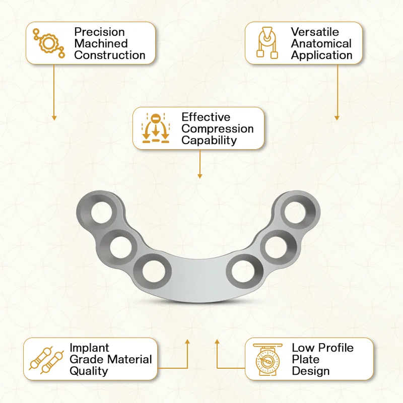 Key Features of Veterinary Non Locking Plates