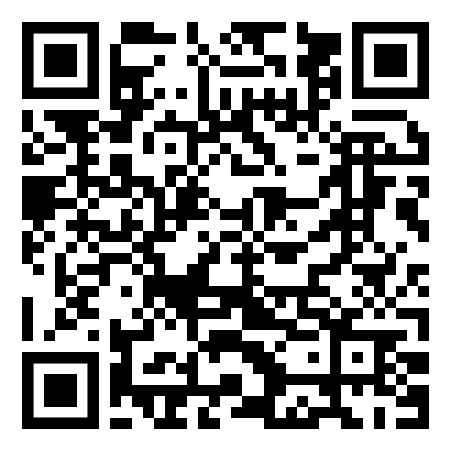 PEDILUX™ - R-Line PEDICLE SCREW SYSTEM QR Code