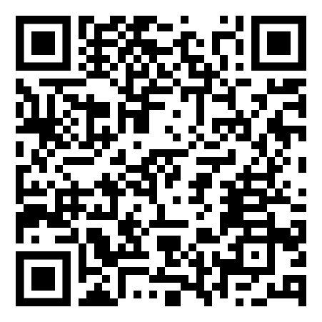 PEDILUX™ - S-LINE PEDICLE SCREW SYSTEM QR Code